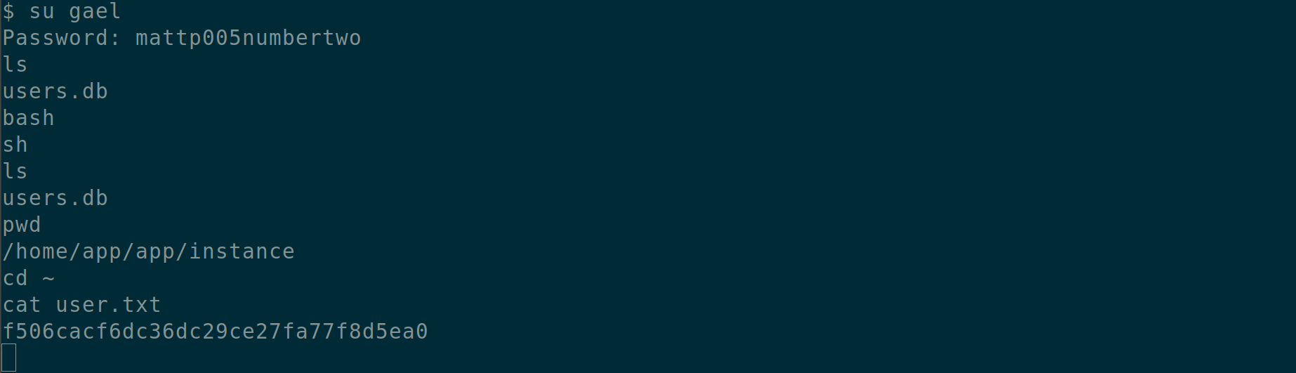 /blog/images/htb_artificial/image-6.png